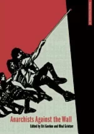 Image of anarchists against the wall direct action and solidarity with the palestini