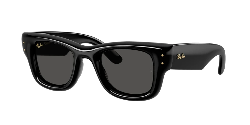 Image of Ray-Ban Wayfarer Sunglasses Wayfarer Sunglasses One Size Black 75877903000