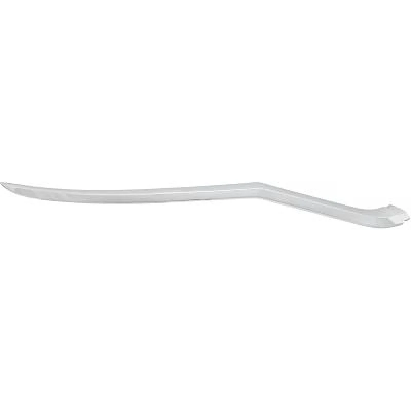 Image of Trim / Protective Strip, radiator grille DIEDERICHS 2240842