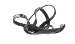 image of RIDEX V-ribbed belt 305P0455 Serpentine belt,Auxiliary belt BMW,OPEL,LAND ROVER,X5 (E53),Omega B Limousine (V94),Omega B Caravan (V94)