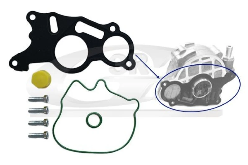 Image of 3RG Repair Kit, vacuum pump (brake system) 3RG 74710
