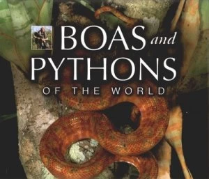 Image of Boas and Pythons of the World by Mark Oshea Hardback