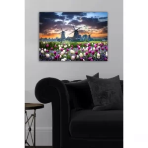 Image of 1481242091-5070 Multicolor Decorative Canvas Painting