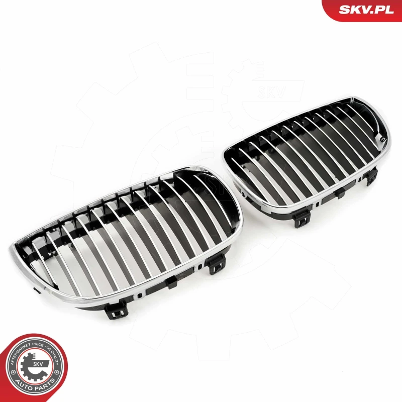 Image of ESEN SKV Radiator Grille ESEN SKV 66SKV004