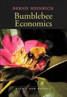 Image of Bumblebee Economics : With a New Preface