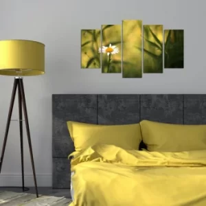 Image of 5PMX-115 Multicolor Decorative MDF Painting (5 Pieces)