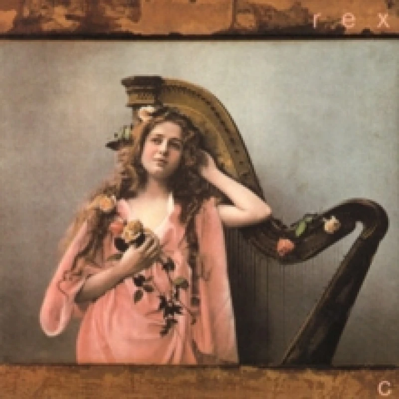 Image of C Vinyl