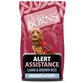 image of Burns Alert Lamb Dog Food 12kg