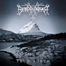 image of True north (Deluxe Edition)