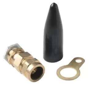 Image of Wiska Cable Gland Economy Outdoor for SWA, Pack Brass - CW20L