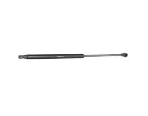 Image of RIDEX Tailgate strut SMART 219G0363 4519880004,A4519880004