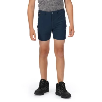 image of Regatta Junior Highton Shorts - Blue