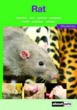 Image of The Rat Paperback
