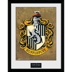 image of Harry Potter Hufflepuff Collector Print