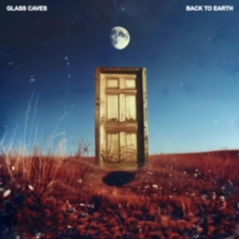Image of Back to earth Vinyl