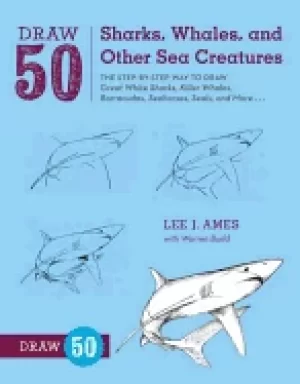 Image of draw 50 sharks whales and other sea creatures the step by step way to draw
