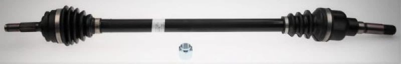 Image of LOBRO 306505 Drive shaft with nut Drive Shaft (13)