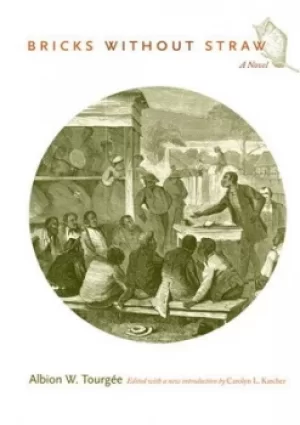 Image of Bricks without straw by Albion W. Tourge