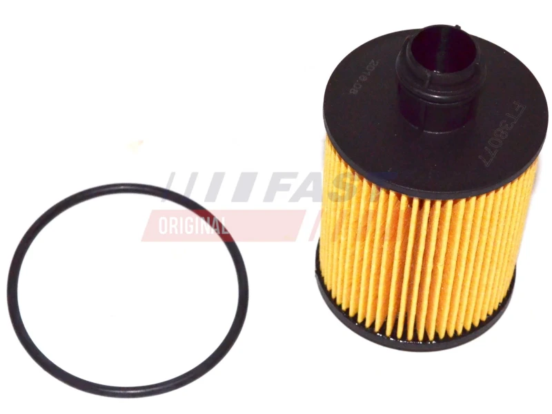 Image of FAST Oil filter FAST FT38077
