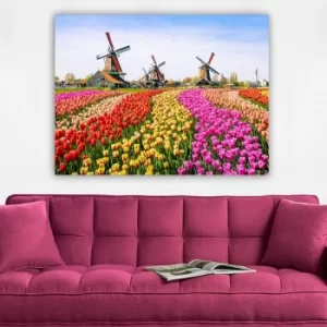 Image of 474434224_70100 Multicolor Decorative Canvas Painting