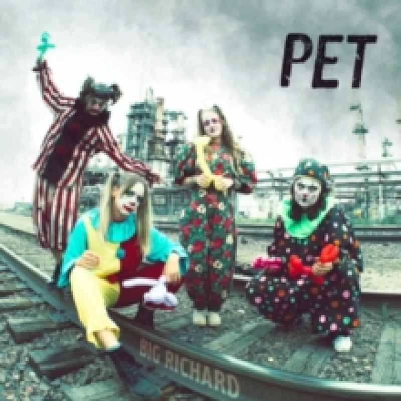 Image of Pet Vinyl