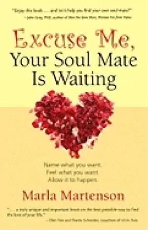 Image of excuse me your soul mate is waiting