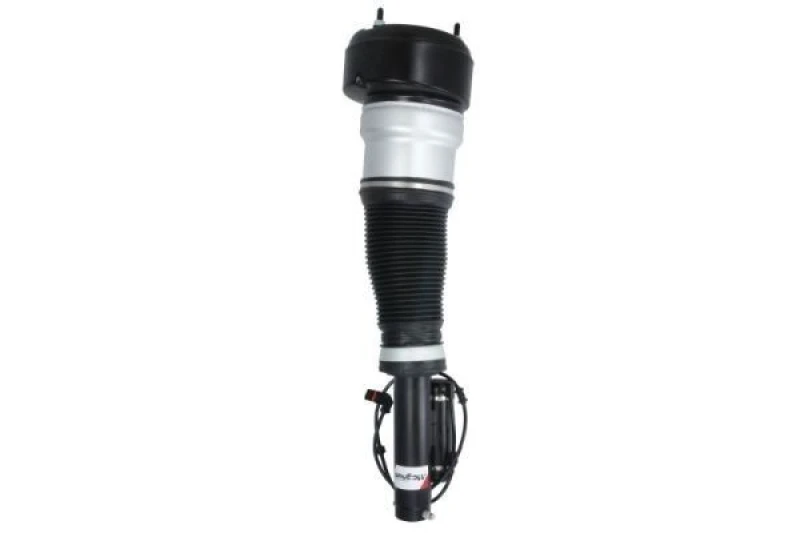 Image of Magnum Technology Air suspension strut Magnum Technology APM013MT