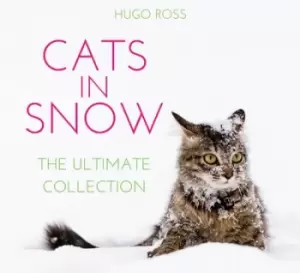 Image of Cats in Snow by Hugo Ross