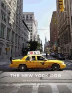 Image of new york dog