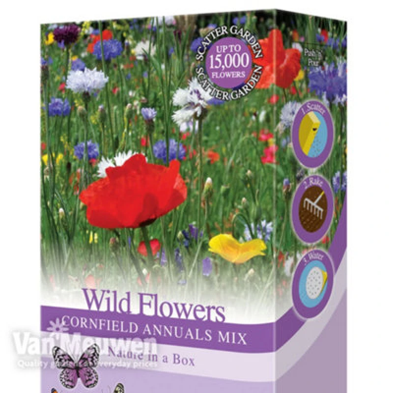Image of THOMPSON & MORGAN Thompson&morgan - Scatter Seed Pack Wild Flowers Cornfield Annuals Mix 1 Pack 60906