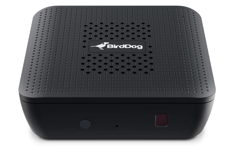 Image of BirdDog BirdDog PLAY Active video converter 3840 x 2160 pixels BDPLAY