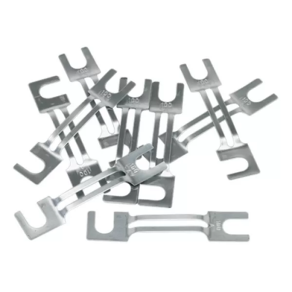 Image of Genuine SEALEY 120/802131 Fuse 100Amp 99 x 20mm Large Pack of 10