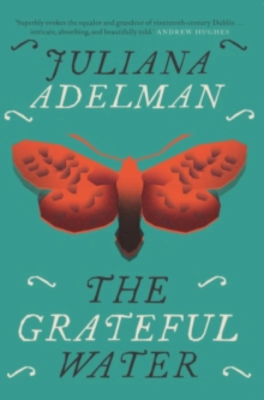 Image of The Grateful Water Paperback / softback