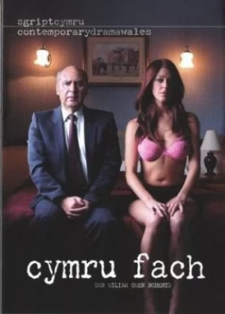 Image of Cymru Fach by William Owen Roberts Book