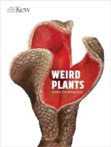 Image of Weird Plants