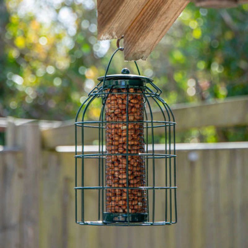 Image of Samuel Alexander SA Hanging Bird Nut Feeder with Squirrel Guard Green