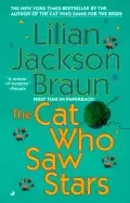 Image of cat who saw stars