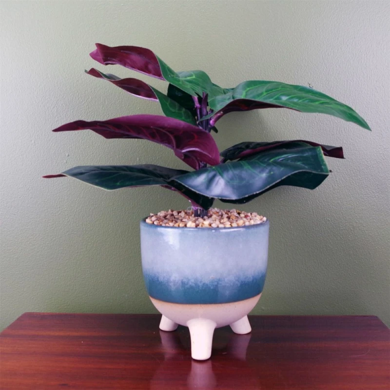 Image of Leaf 35cm Artificial Ficus Plant Potted in Teal Blue Green Ceramic Planter Blue