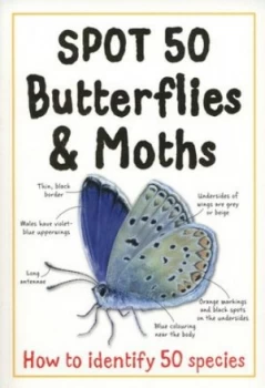 Image of Spot 50 Butterflies and Moths Paperback