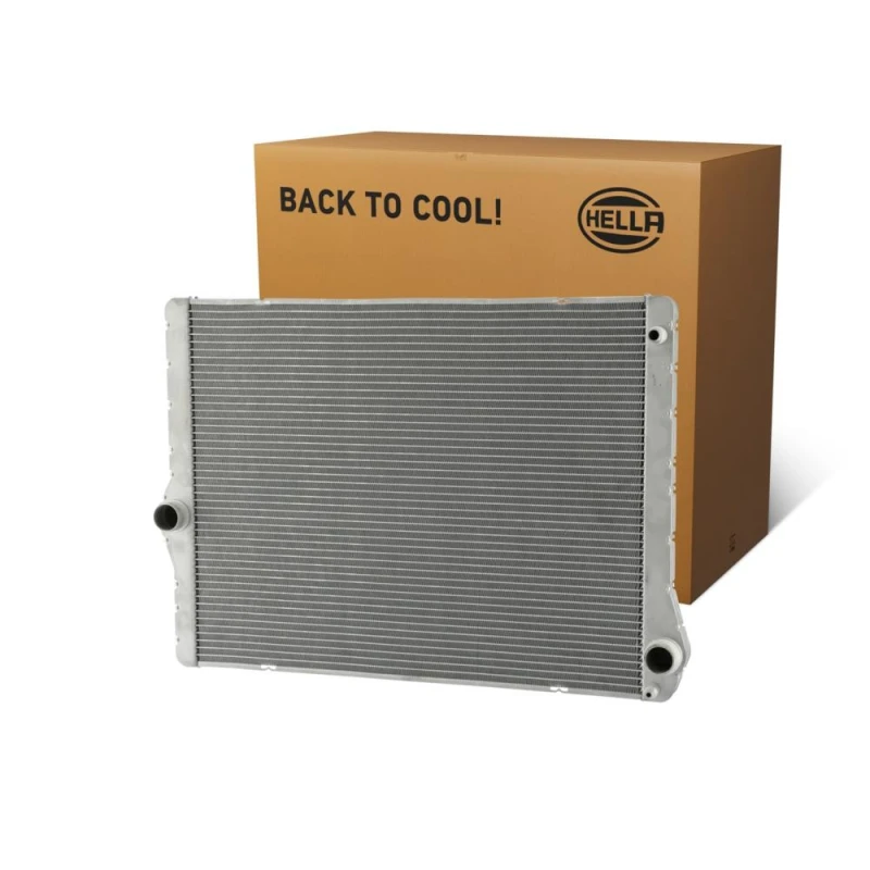 Image of HELLA Engine radiator HELLA 8MK 366 301-861