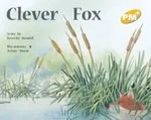 Image of PM Yellow: Clever Fox (PM Plus) Level 6