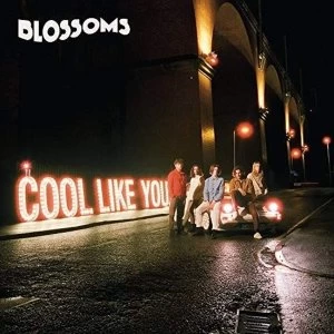 Image of Blossoms - Cool Like You 2CD Set