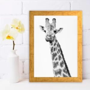 Image of AC731829097 Multicolor Decorative Framed MDF Painting