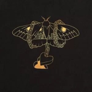Image of Gold in a Brass Age by David Gray CD Album