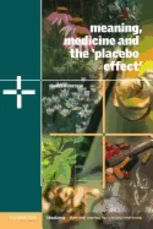 Image of meaning medicine and the placebo effect