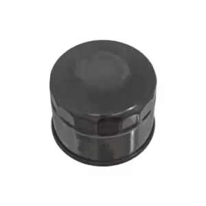 Image of Oil Filter ADS72106 by Blue Print