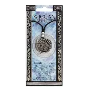 Image of Familiars Moon Wiccan Amulet