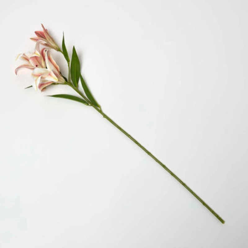 Image of Homescapes Artificial Stem of Lilium Auratum Flowers, 80cm Pink