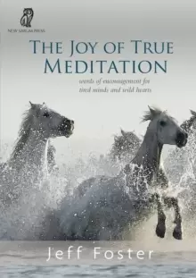 Image of The joy of True Meditation : Words of Encouragement for Tired Minds and Wild Hearts