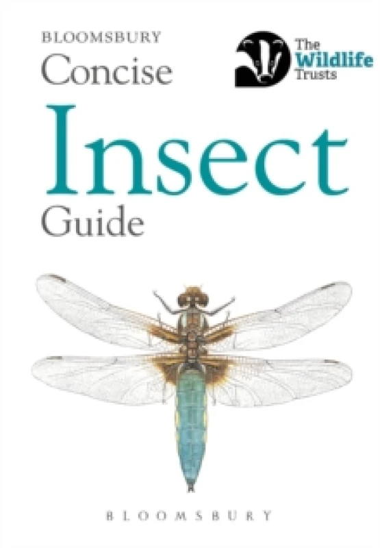 Image of Concise Insect Guide Paperback / softback